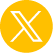 x social media icon